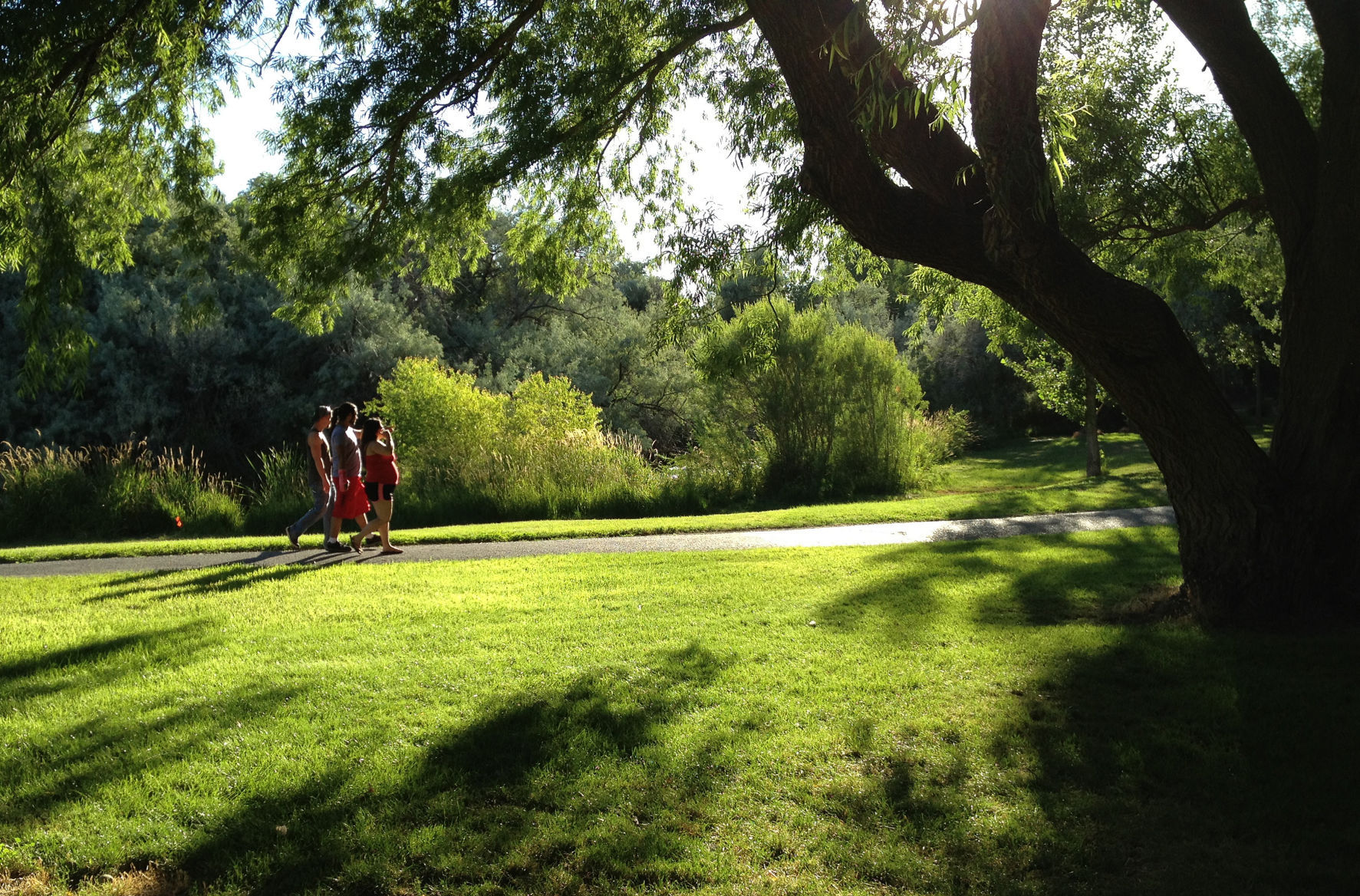 Urban Trail: Rock Creek Park
